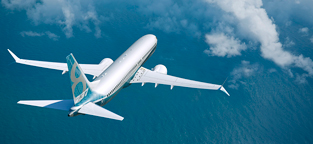 737 MAX